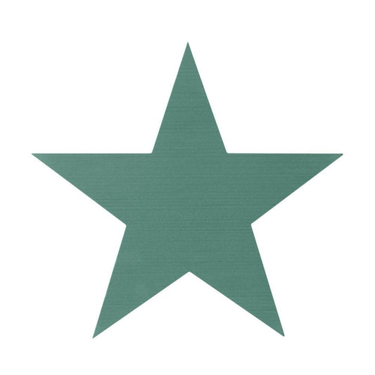 Discover the Oasis Foam Large 5 Point Star at Bristow Direct