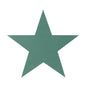 Discover the Oasis Foam Large 5 Point Star at Bristow Direct
