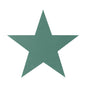 Oasis Foam Large 5 Point Star