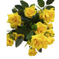 Dark Yellow Diamond Rose Bush