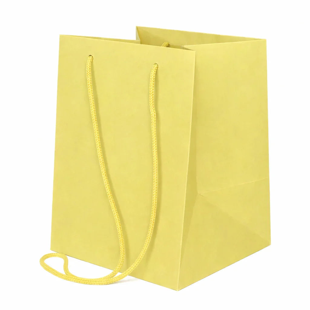 19x25cm Sage Cream Hand Tie Bag (10/100)