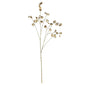 Botanica Metallic Fruit Branch (123cm)