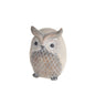Owl With Solar Eyes Medium