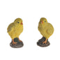 Farmyard Chick (Assorted)
