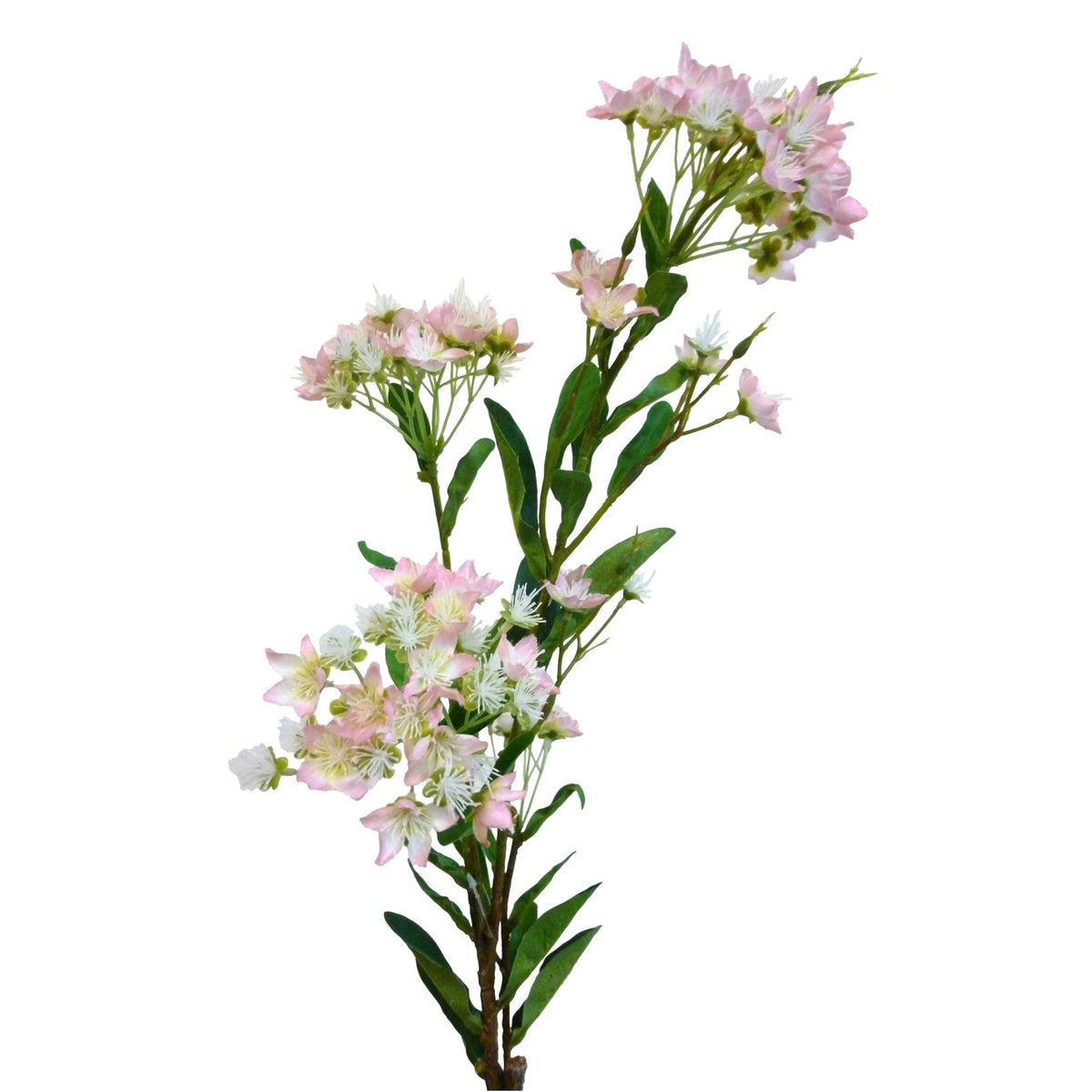 Discover the Lilac Blossom Pink (86cm) at Bristow Direct