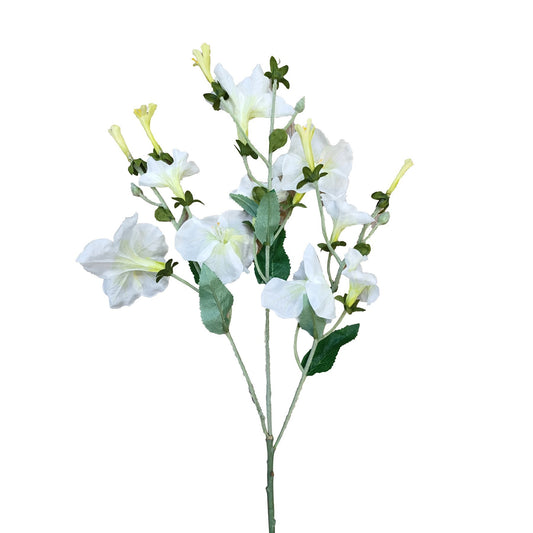 Cream Morning Glory Spray