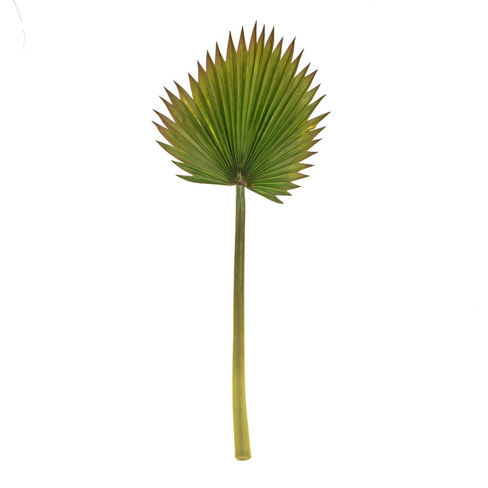 Discover the Palm Leaf Spray (94cm) at Bristow Direct