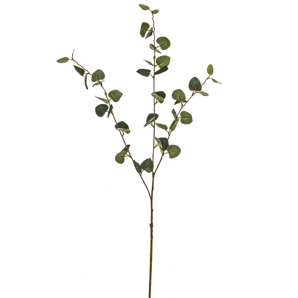 Discover the Pure Eucalyptus Spray (93cm) at Bristow Direct