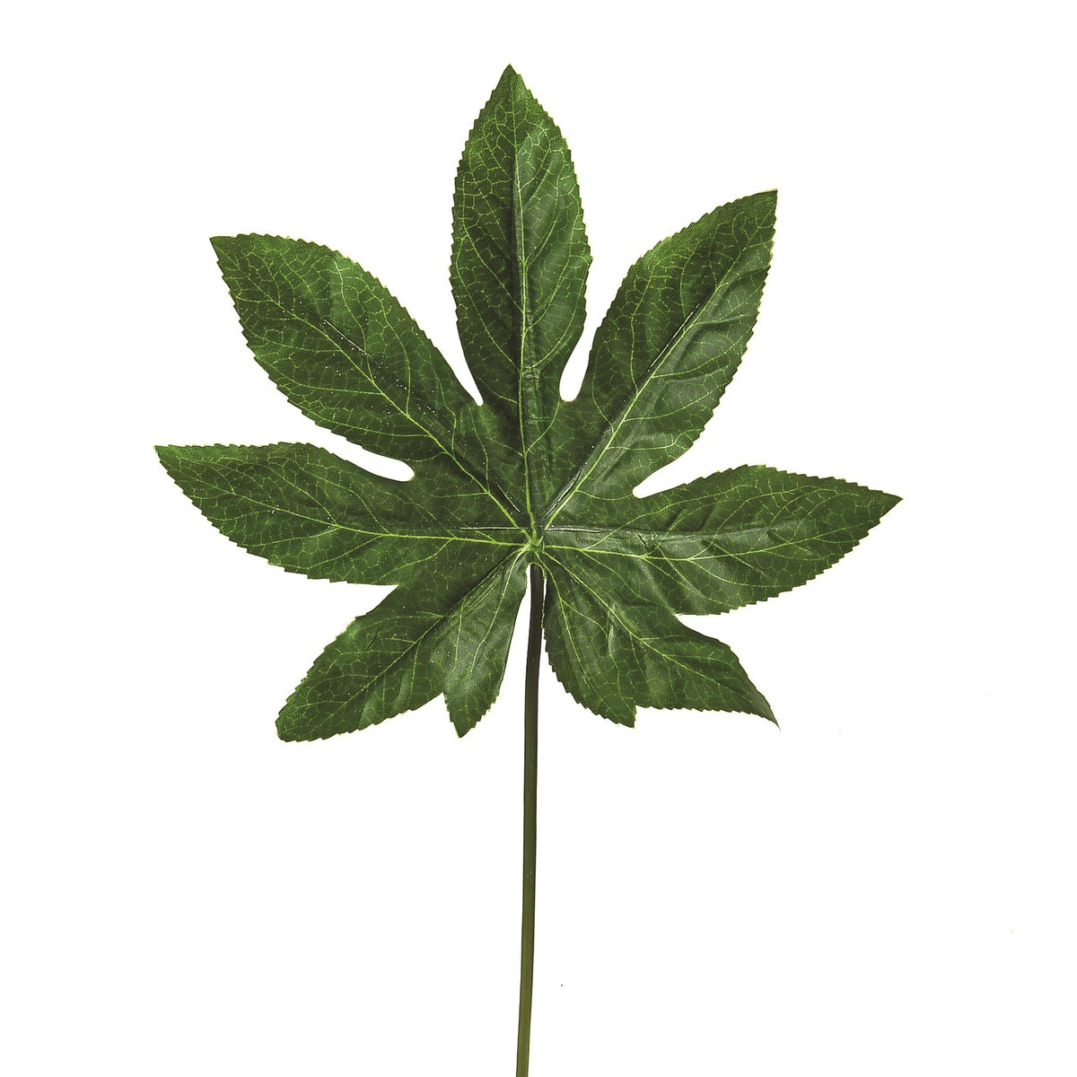 Discover the Green Aralia Leaf (38cm) at Bristow Direct