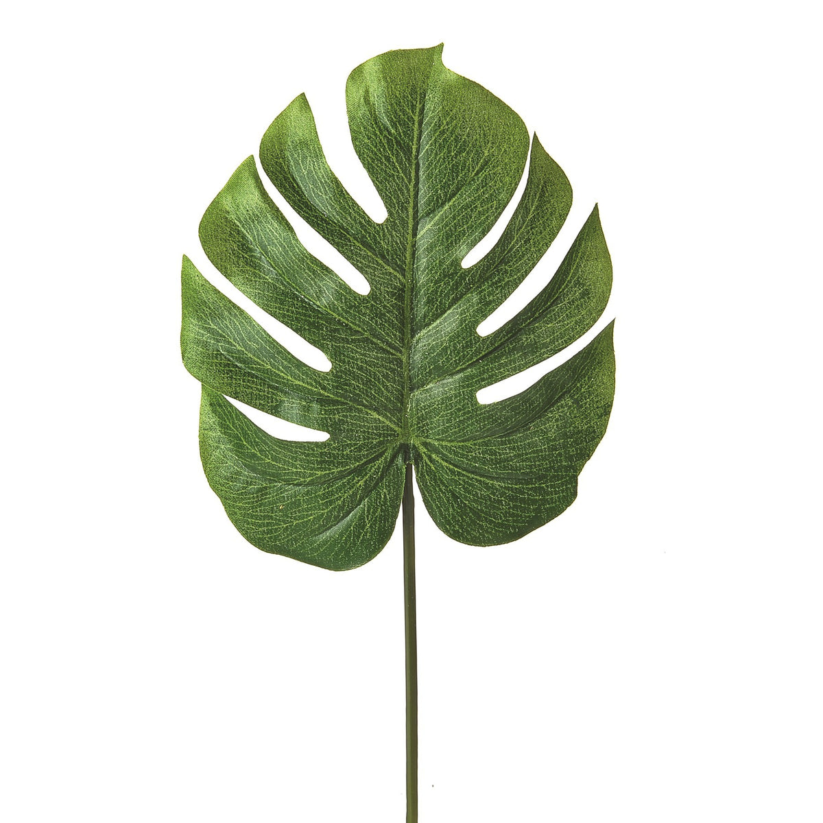 Discover the Green Leaf Split Philo (36cm) at Bristow Direct