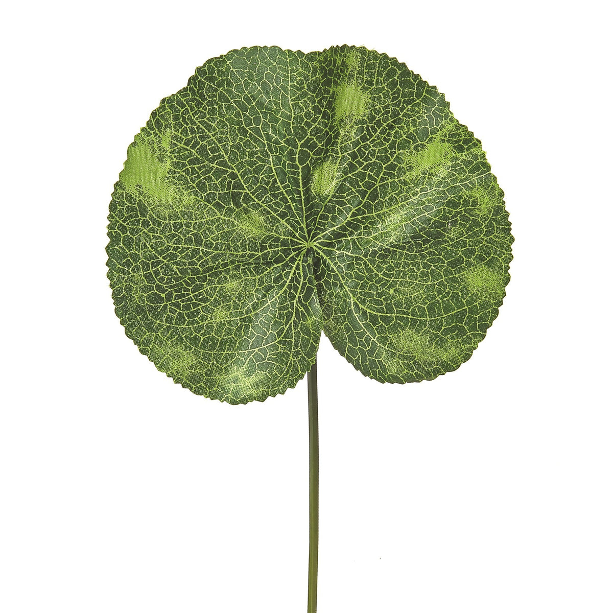 Discover the Green Lotus Leaf (33 cm) at Bristow Direct