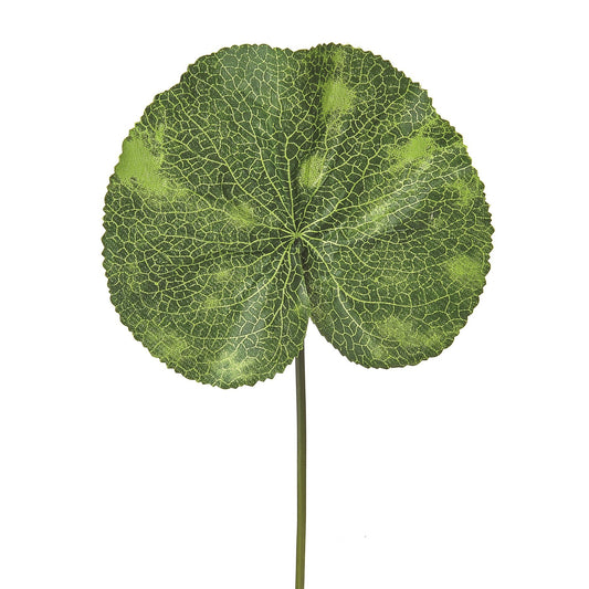 Discover the Green Lotus Leaf (33 cm) at Bristow Direct
