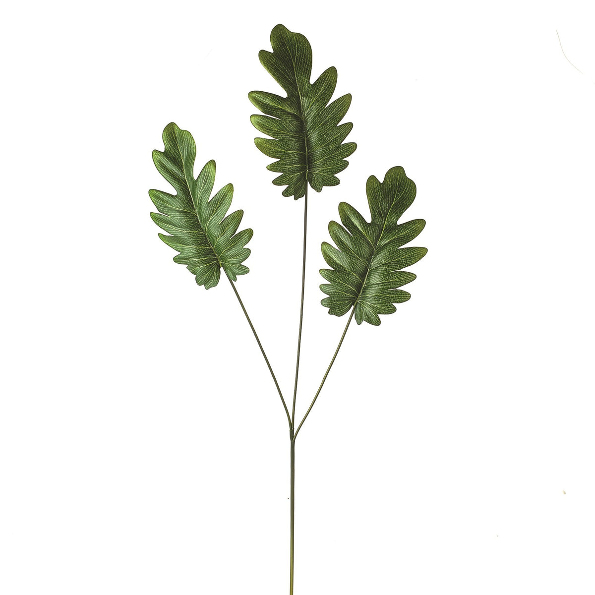 Discover the Green Leaf Split Philodendron Spray (71cm) at Bristow Direct