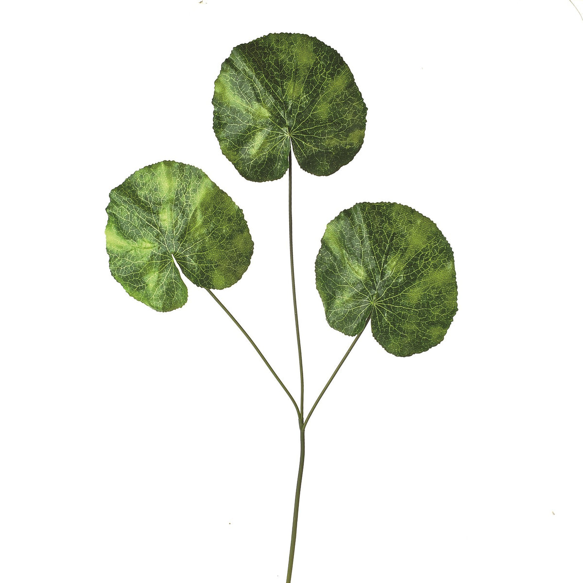 Discover the Green Leaf Lotus Spray (66cm) at Bristow Direct