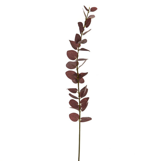 Discover the Burgundy Eucalyptus Stem (87cm) at Bristow Direct