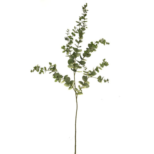 Discover the Green Eucalyptus Spray (145cm) at Bristow Direct