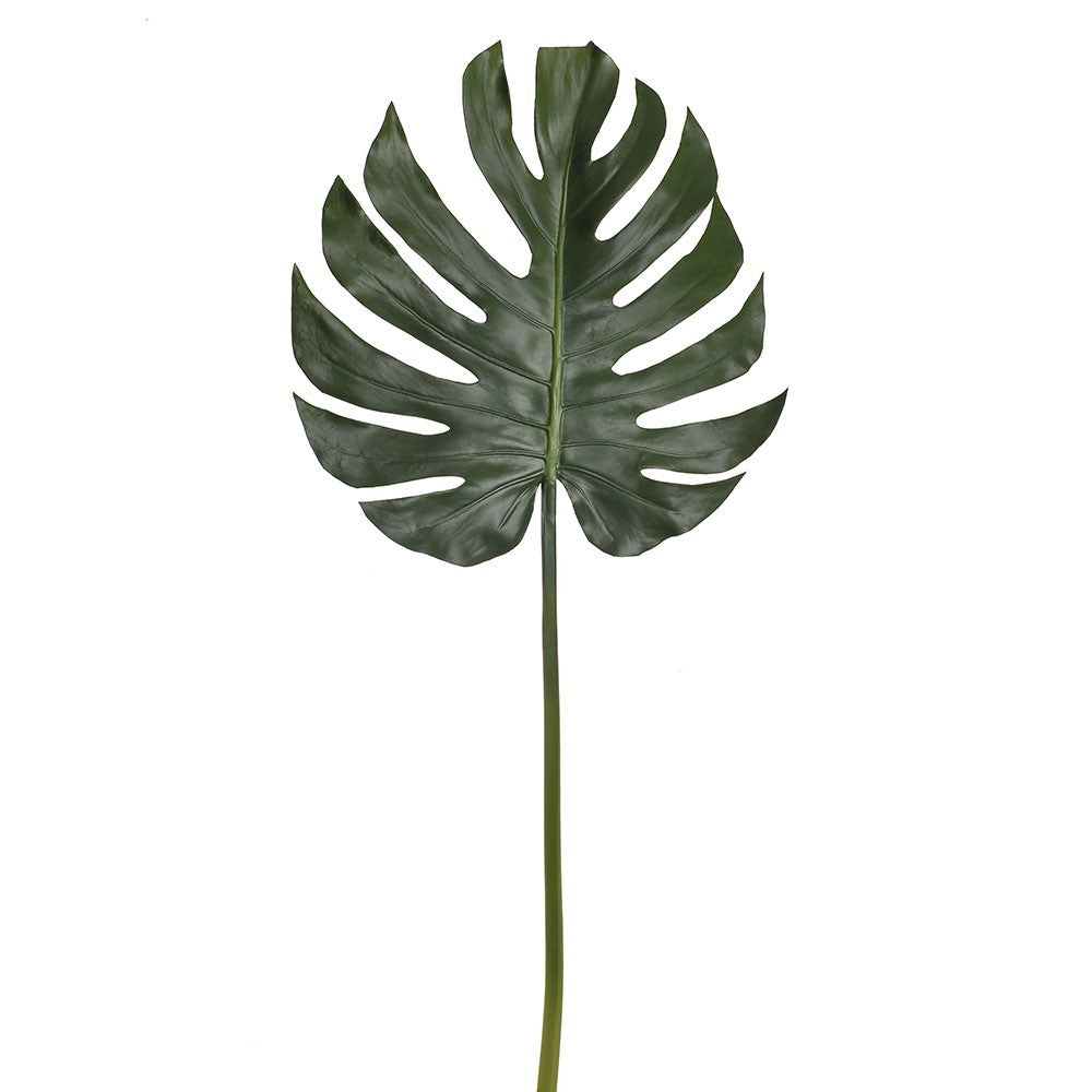 Discover the Green Split Philo Leaves Stem (98cm) at Bristow Direct