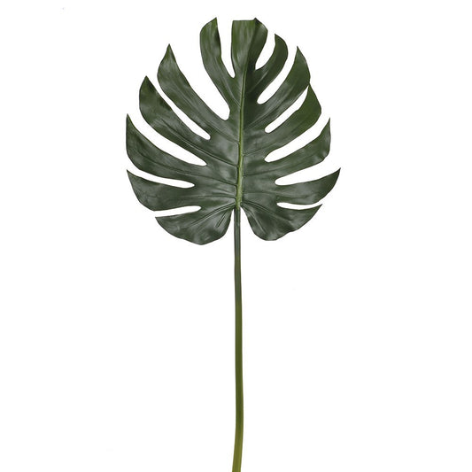 Discover the Green Split Philo Leaves Stem (98cm) at Bristow Direct