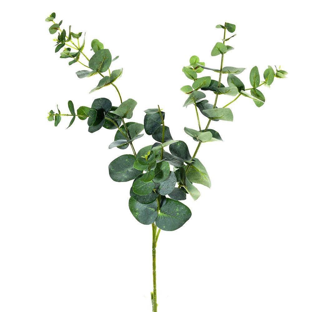 Discover the Green Eucalyptus Spray (72cm) at Bristow Direct