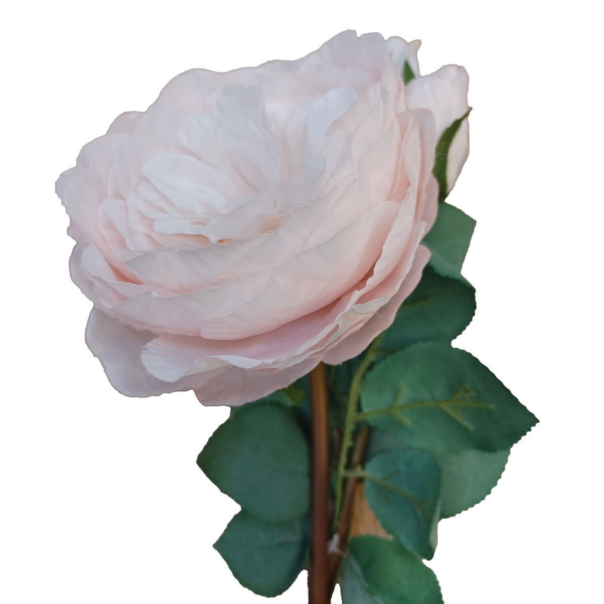 Discover the Pink Peony Rose (65cm) at Bristow Direct