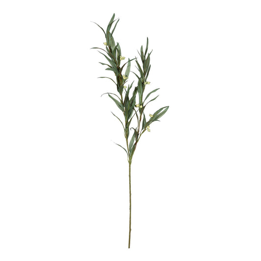 Eucalyptus Berry (88cm)