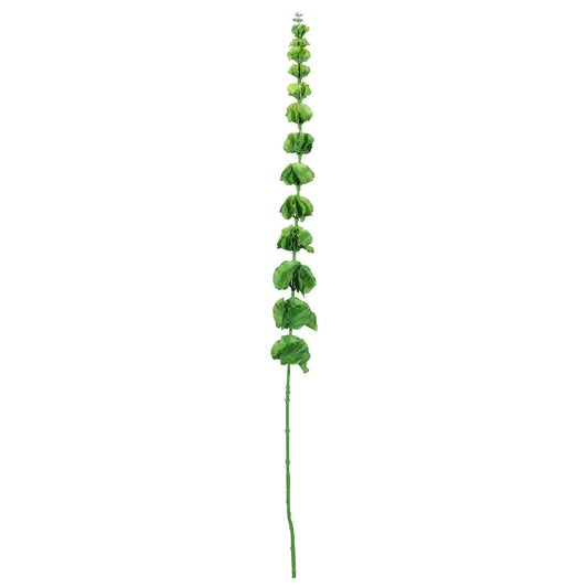 Green Bell of Ireland (102cm)