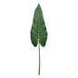 Philodendron Stem Green (109cm)