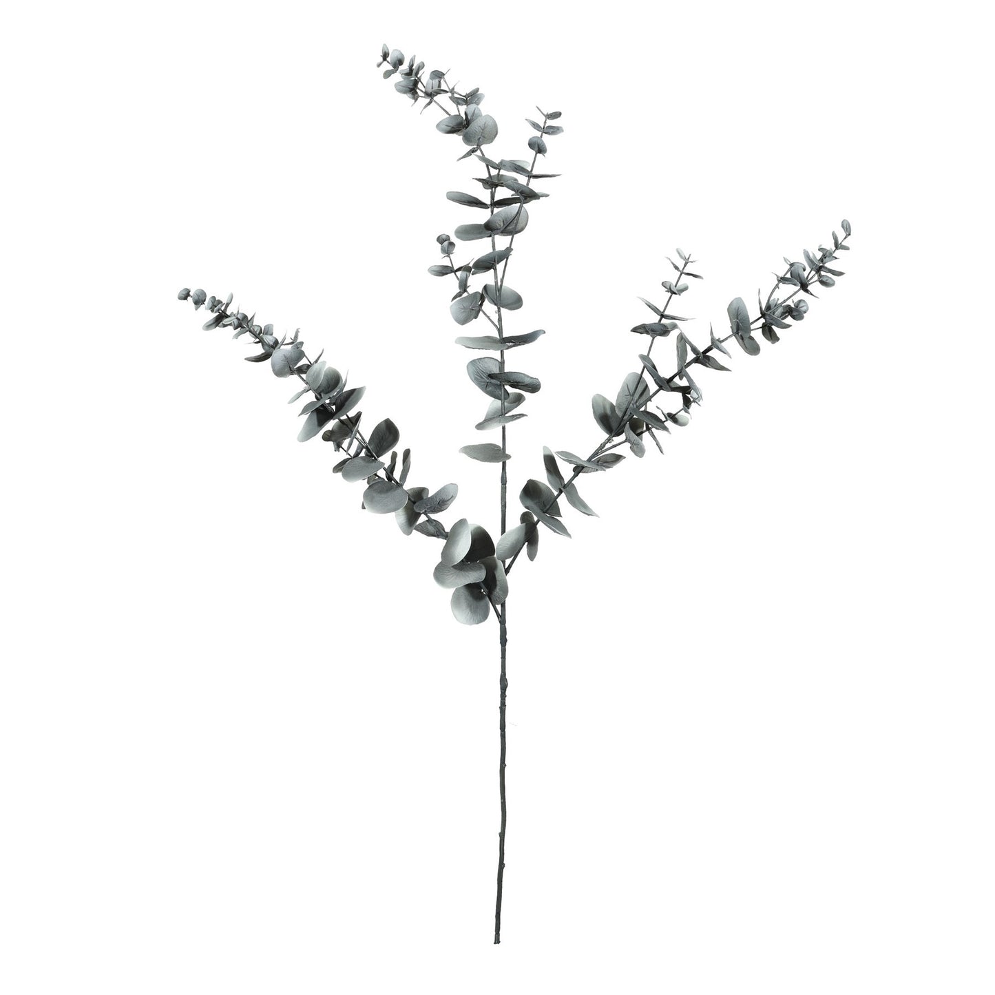 Eucalyptus Spray