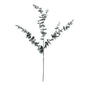 Eucalyptus Spray