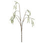 Alder Tree Spray (81cm)
