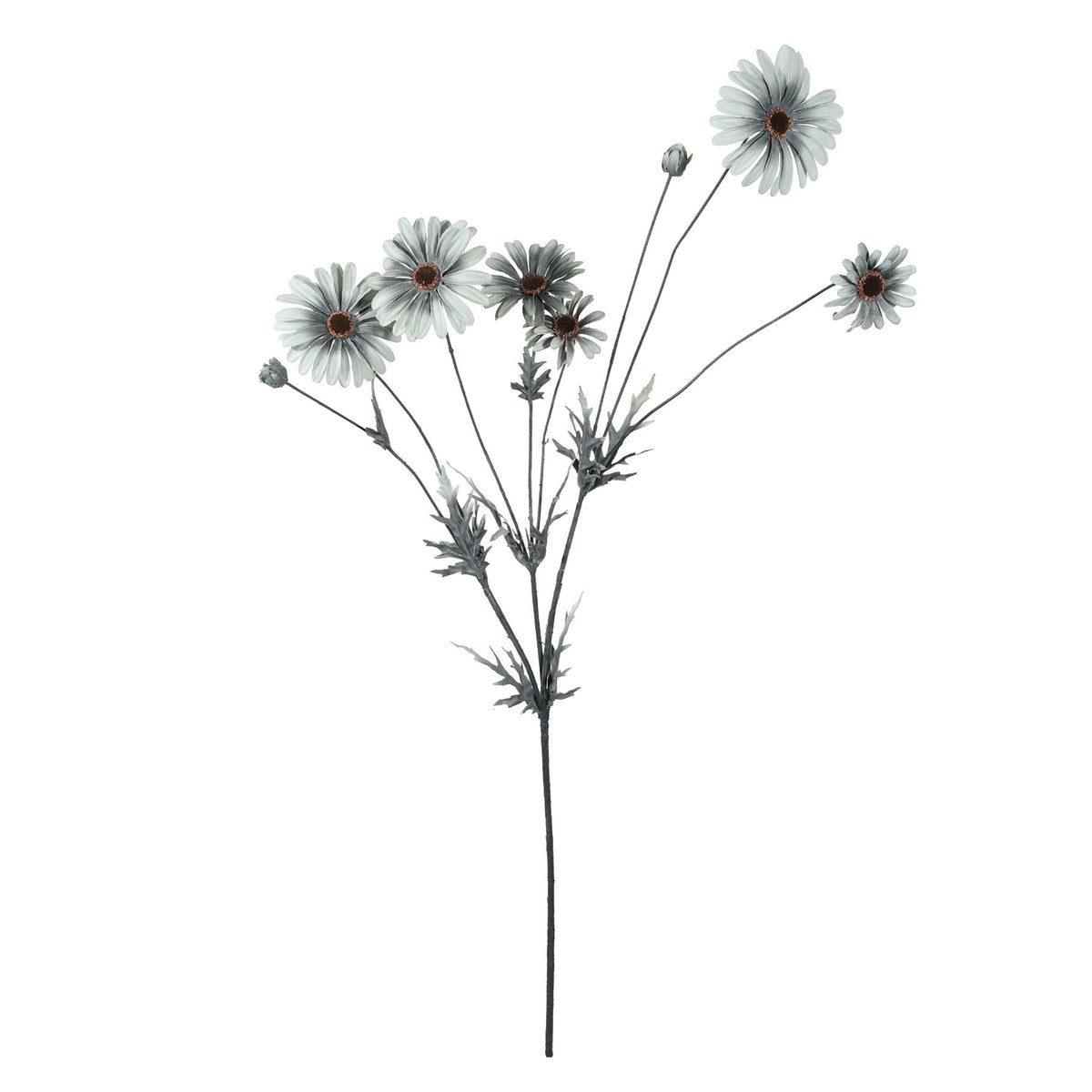 Discover the Daisy Spray (92cm) at Bristow Direct