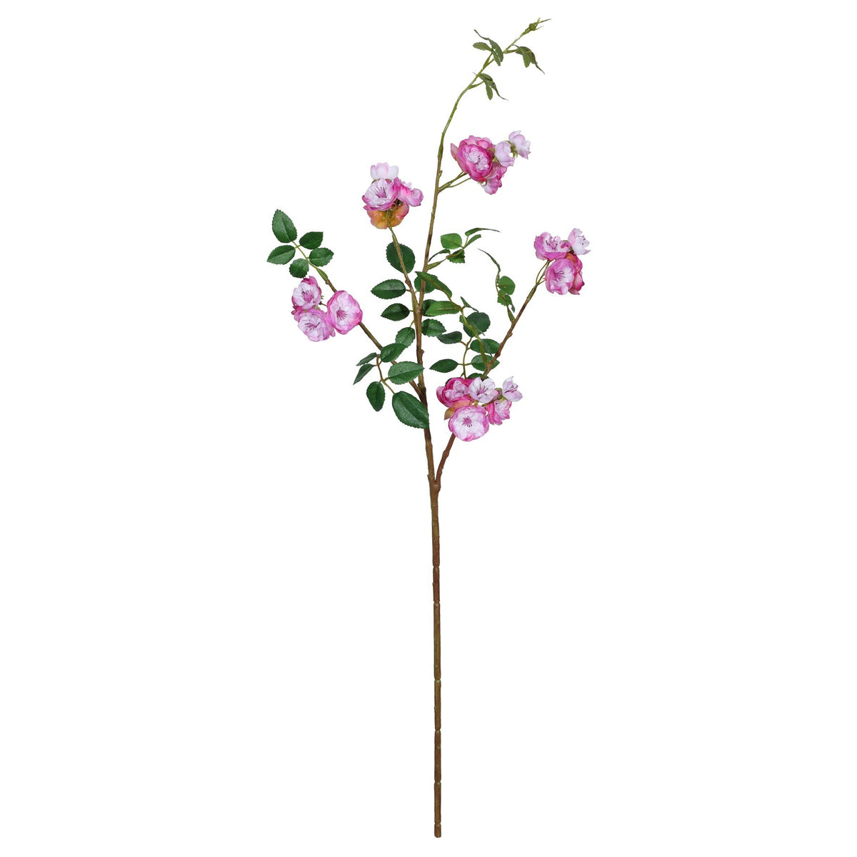 Discover the Purple Mini Rose Spray (76cm) at Bristow Direct