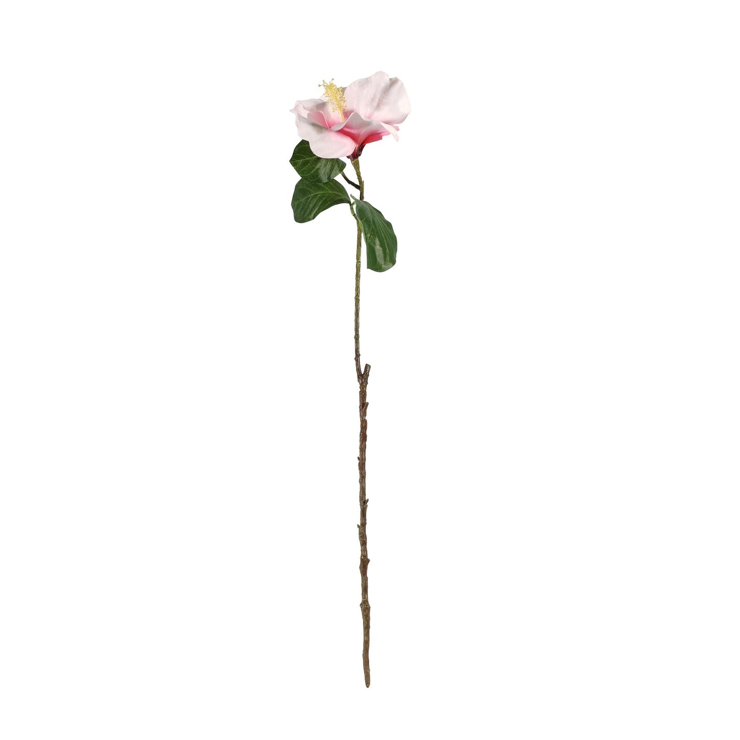Discover the Light Pink Hibiscus Spray (69cm) at Bristow Direct