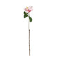 Discover the Light Pink Hibiscus Spray (69cm) at Bristow Direct