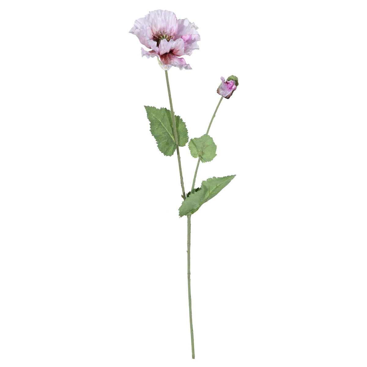 Discover the Lilac Poppy Spray (73cm) at Bristow Direct
