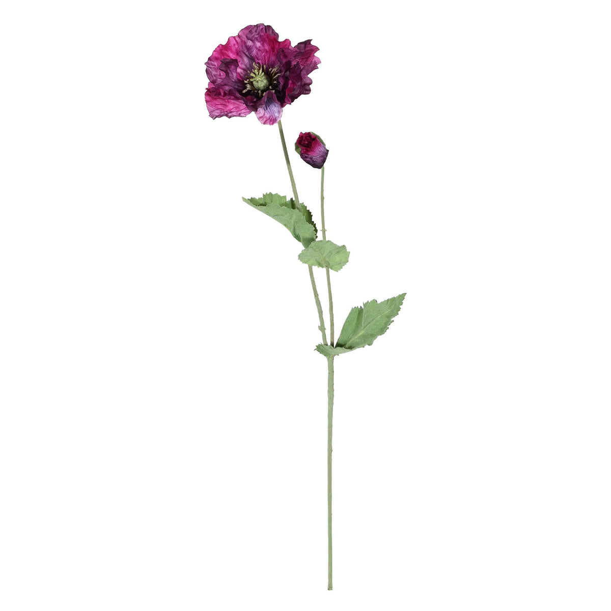 Discover the Purple Poppy Spray (73cm) at Bristow Direct