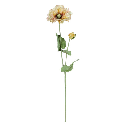 Discover the Yellow Poppy Spray (73cm) at Bristow Direct