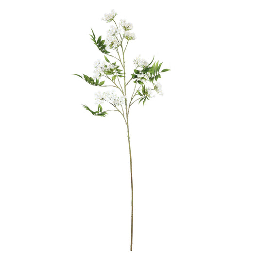 Discover the Cream Blossom Spray (148cm) at Bristow Direct