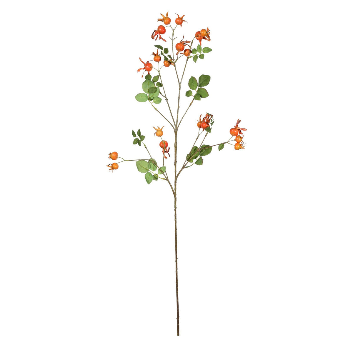 Discover the Rose Hips Spray (96cm) at Bristow Direct