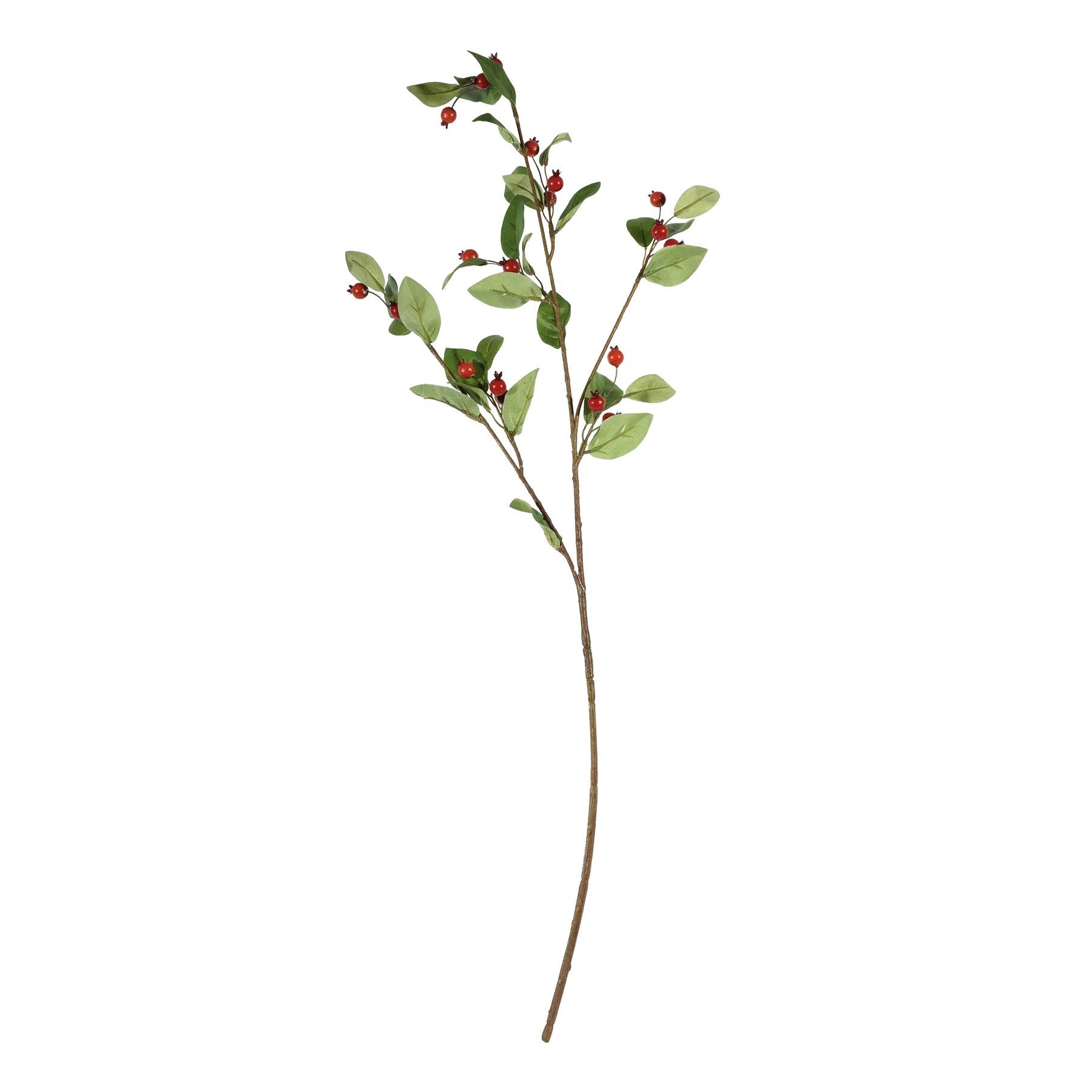 Discover the Rose Fruit Spray (90cm) at Bristow Direct