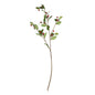 Discover the Rose Fruit Spray (90cm) at Bristow Direct