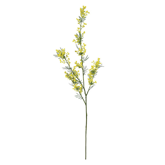 Discover the Yellow Mimosa (111cm) at Bristow Direct