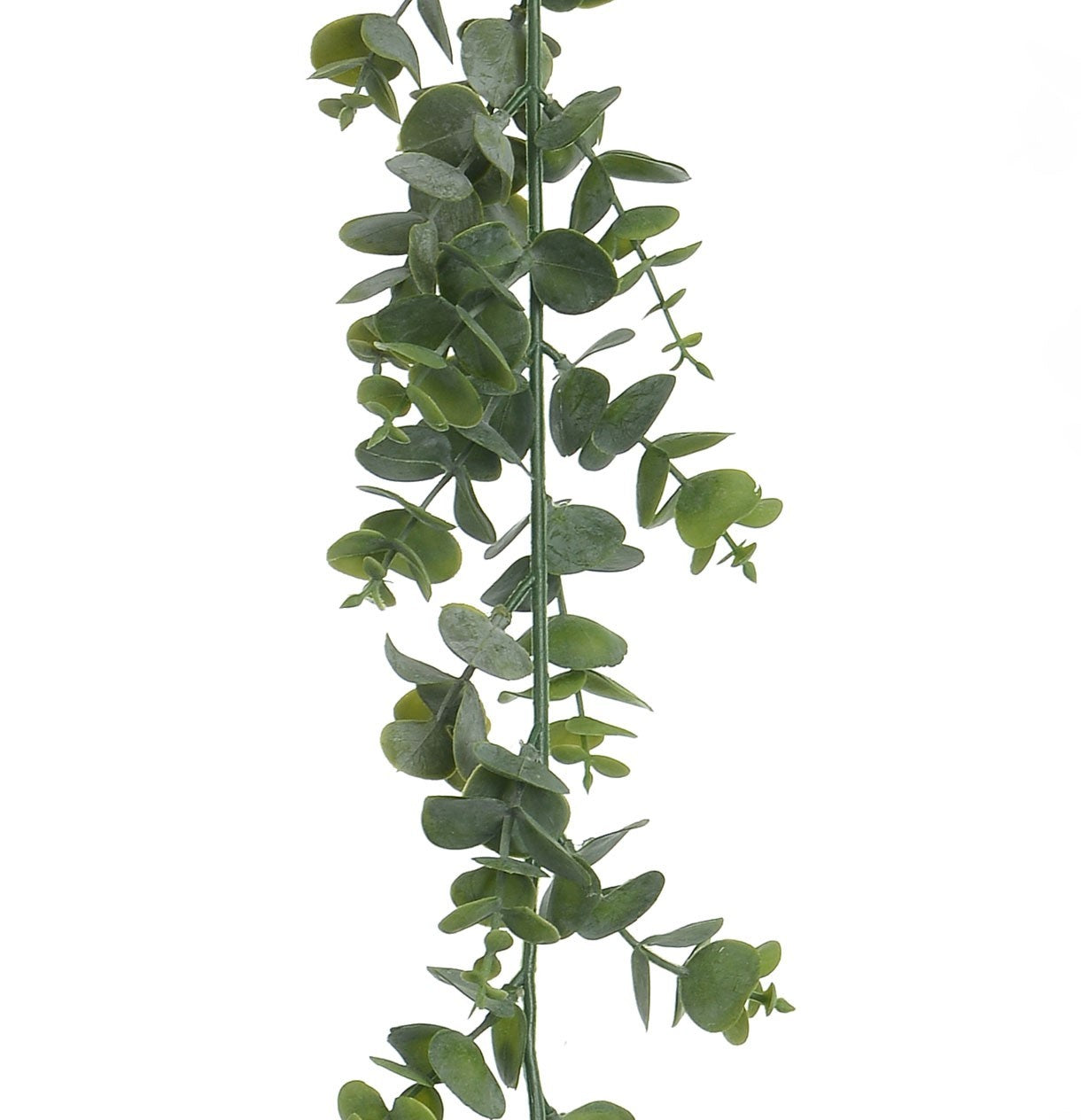 Green Eucalyptus Garland