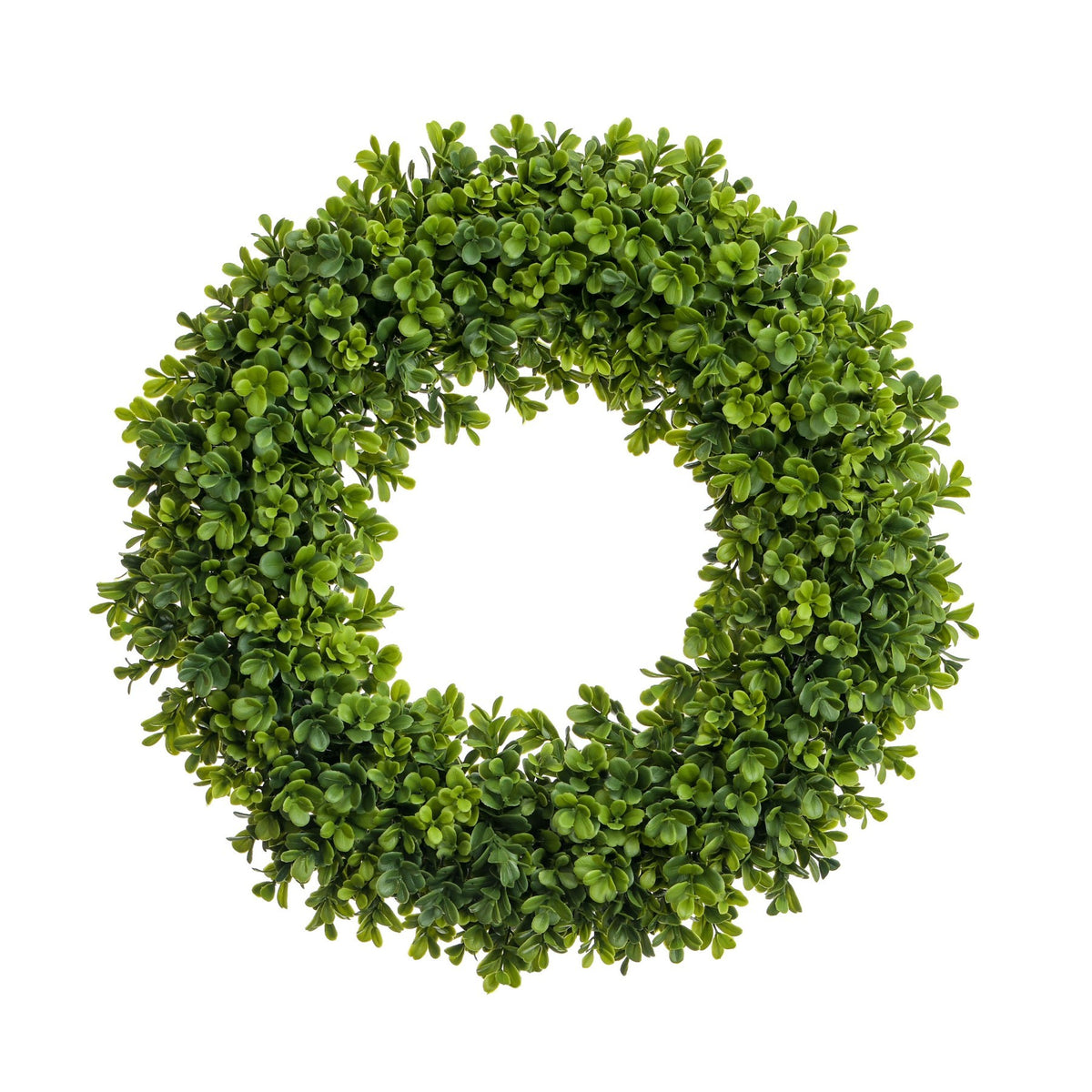 Discover the Boxwood Wreath (17 in) at Bristow Direct