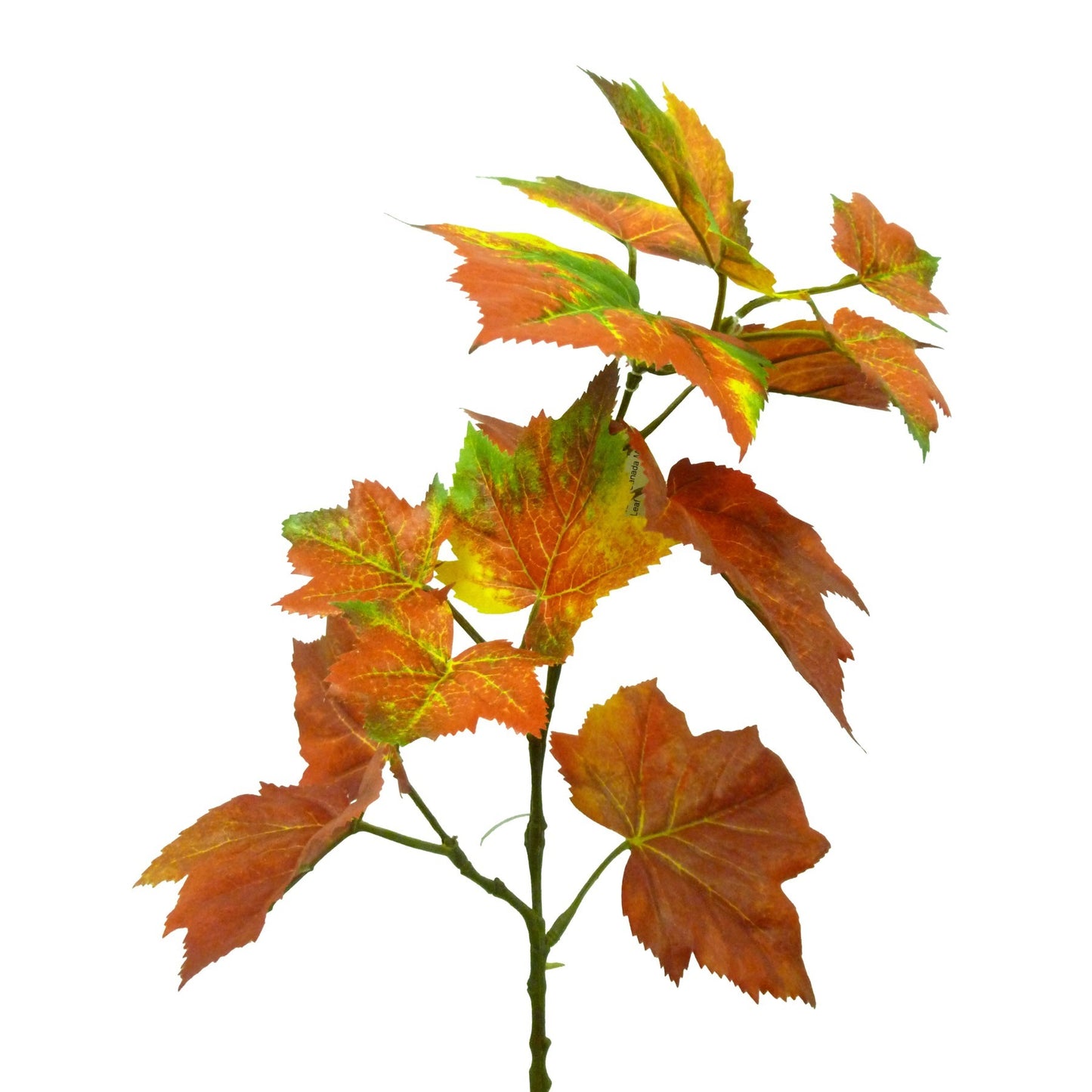 Burgundy Canada Maple Leaf