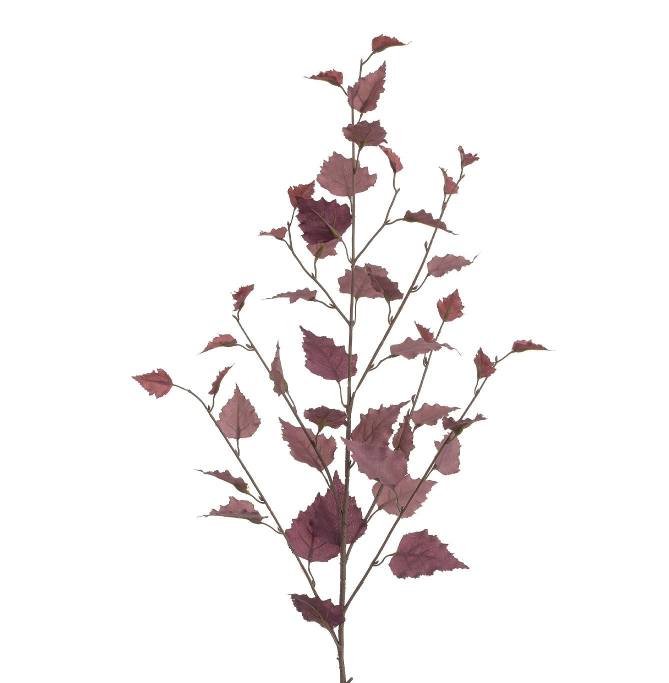 Burgundy Birch Spray