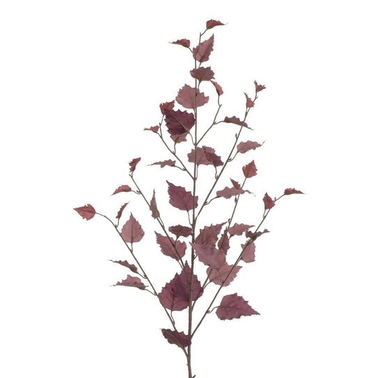Burgundy Birch Spray