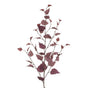 Burgundy Birch Spray
