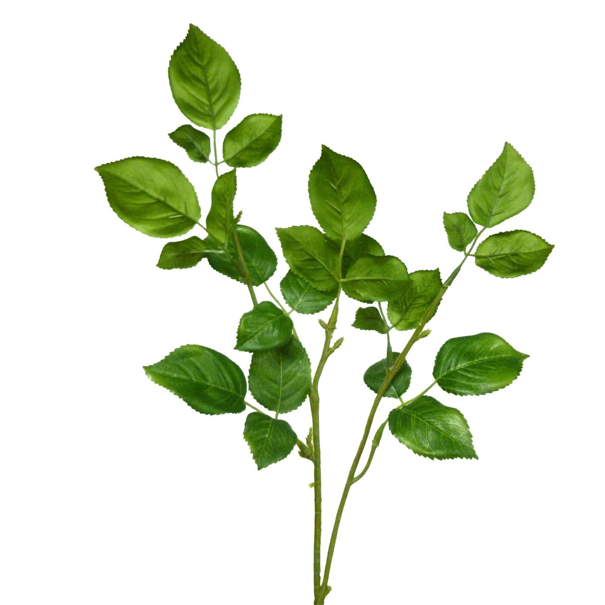 Discover the Green Rose Leaf Spray (92cm) at Bristow Direct