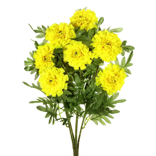 Discover the Yellow Marigold Bush at Bristow Direct